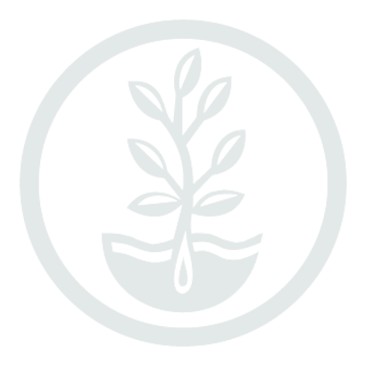 True Leaf Market logo